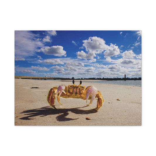 Beach Crab Art - As seen in the Leon The Lobster video series. The original of this beautiful beach view hangs on the wall near Leon's aquarium. Matte Canvas, Stretched, 1.25"