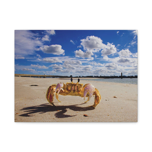 Beach Crab Art - As seen in the Leon The Lobster video series. The original of this beautiful beach view hangs on the wall near Leon's aquarium. Matte Canvas, Stretched, 1.25"