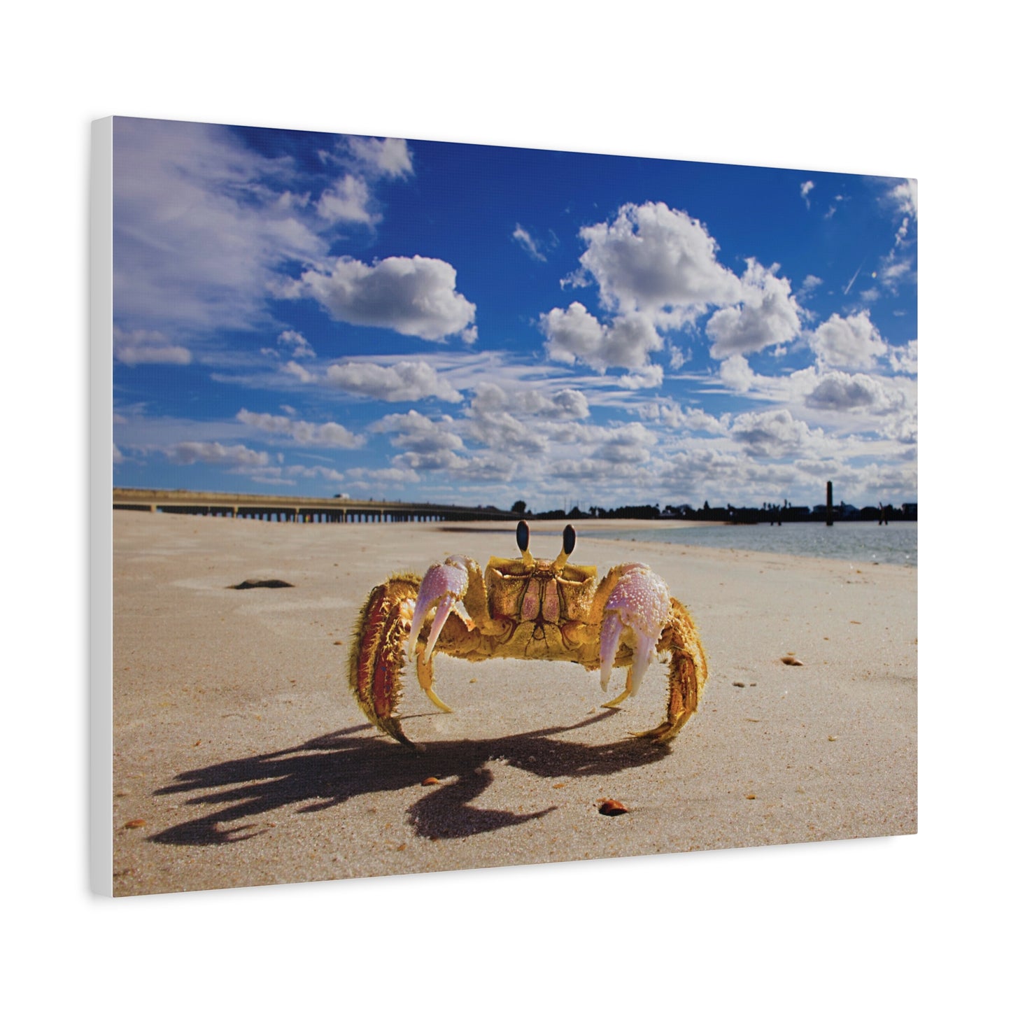 Beach Crab Art - As seen in the Leon The Lobster video series.  The original of this beautiful beach view hangs on the wall near Leon's aquarium.  Matte Canvas, Stretched, 1.25"