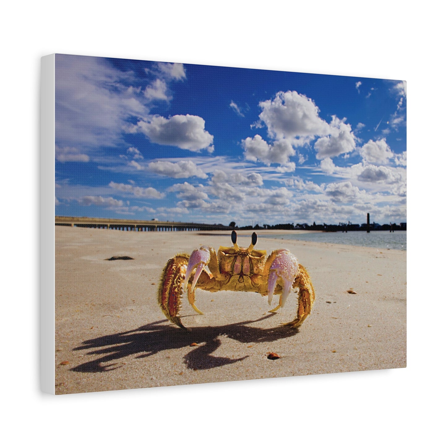 Beach Crab Art - As seen in the Leon The Lobster video series.  The original of this beautiful beach view hangs on the wall near Leon's aquarium.  Matte Canvas, Stretched, 1.25"