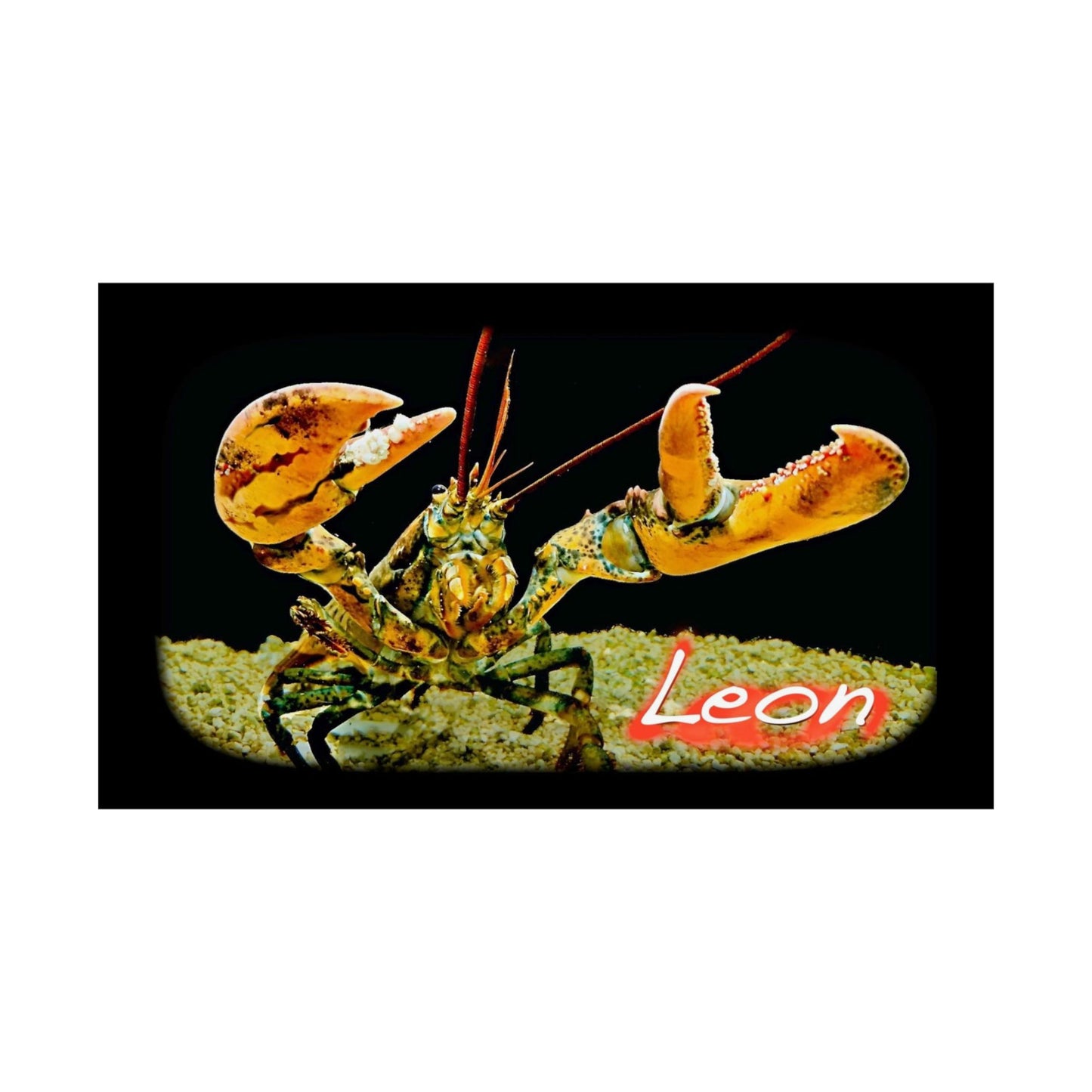 Matte Horizontal Poster Leon The Lobster