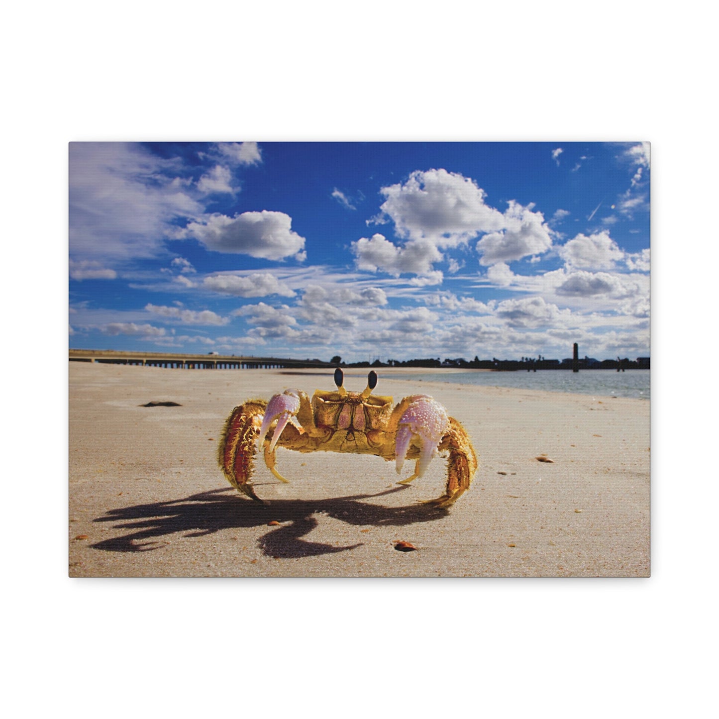 Beach Crab Art - As seen in the Leon The Lobster video series.  The original of this beautiful beach view hangs on the wall near Leon's aquarium.  Matte Canvas, Stretched, 1.25"