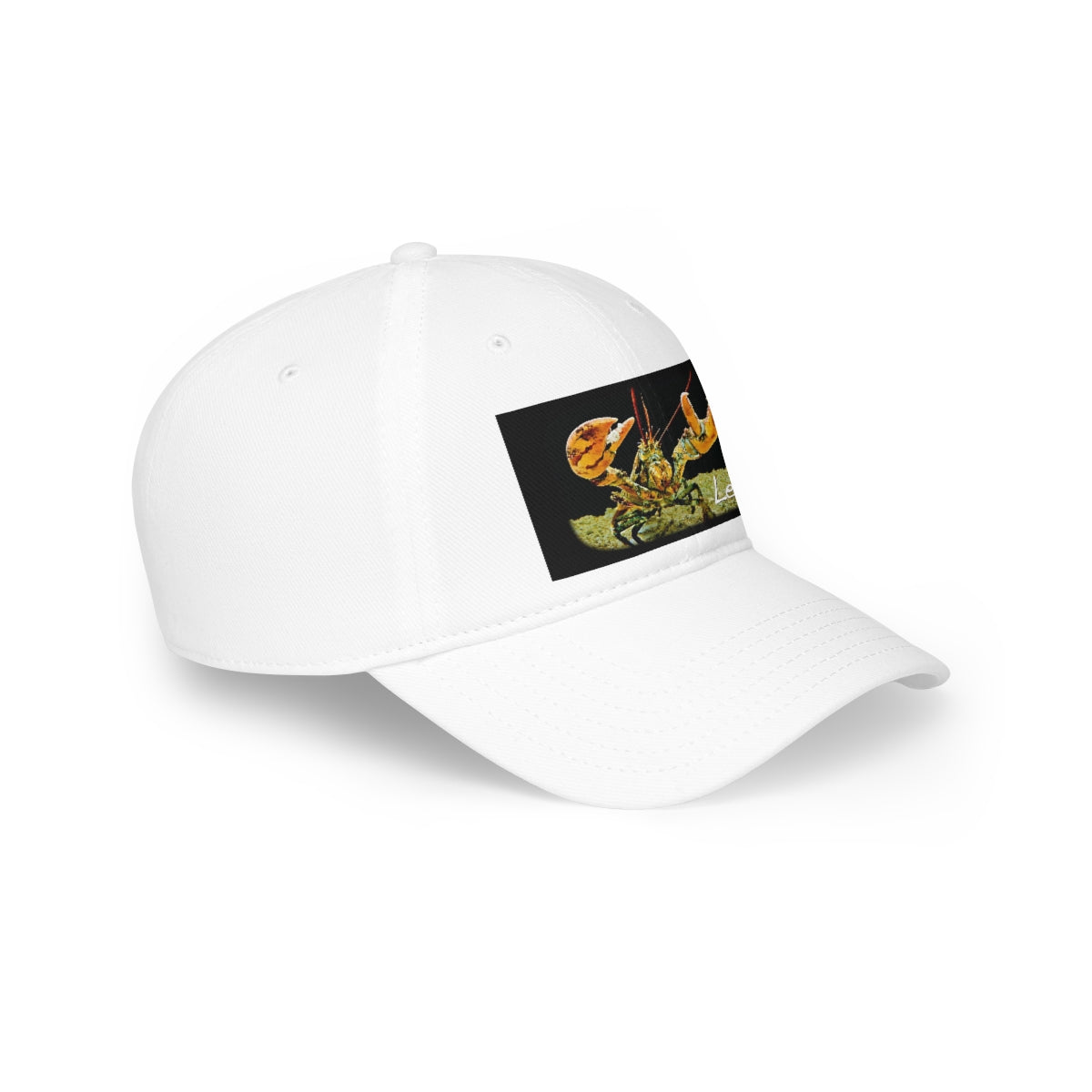 Low Profile Baseball Cap