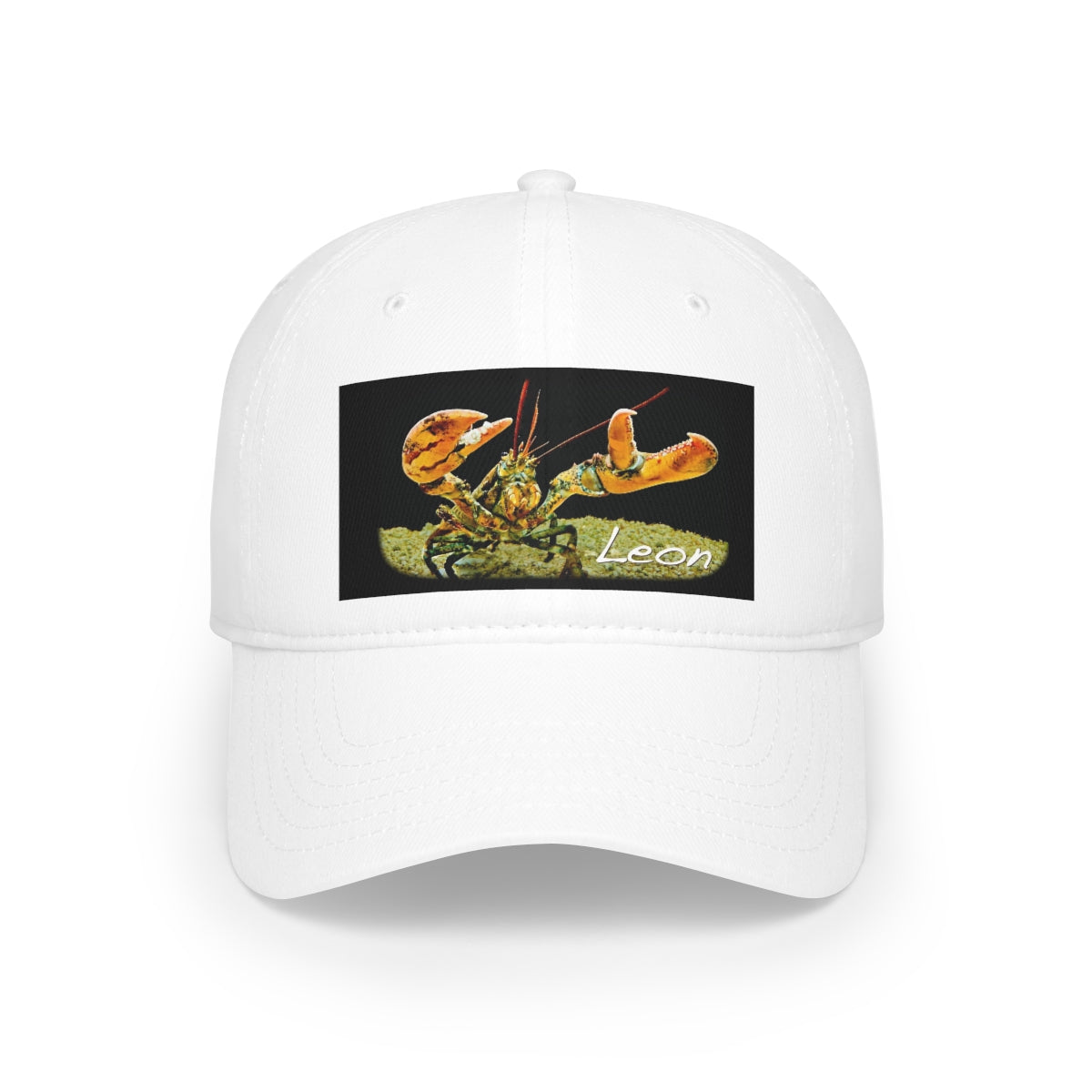 Low Profile Baseball Cap